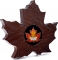 20 Dollars 2016, Canada, Elizabeth II, Maple Leaf Silhouette, Silver Colorised Maple Leaf, Box