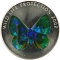 5 Francs 2002, KM# 57, Congo, Democratic Republic, Wildlife Protection, Dark Greenish Butterfly