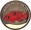 5 Francs 2005, KM# 181, Congo, Democratic Republic, Wildlife Protection, Acadian Redfish