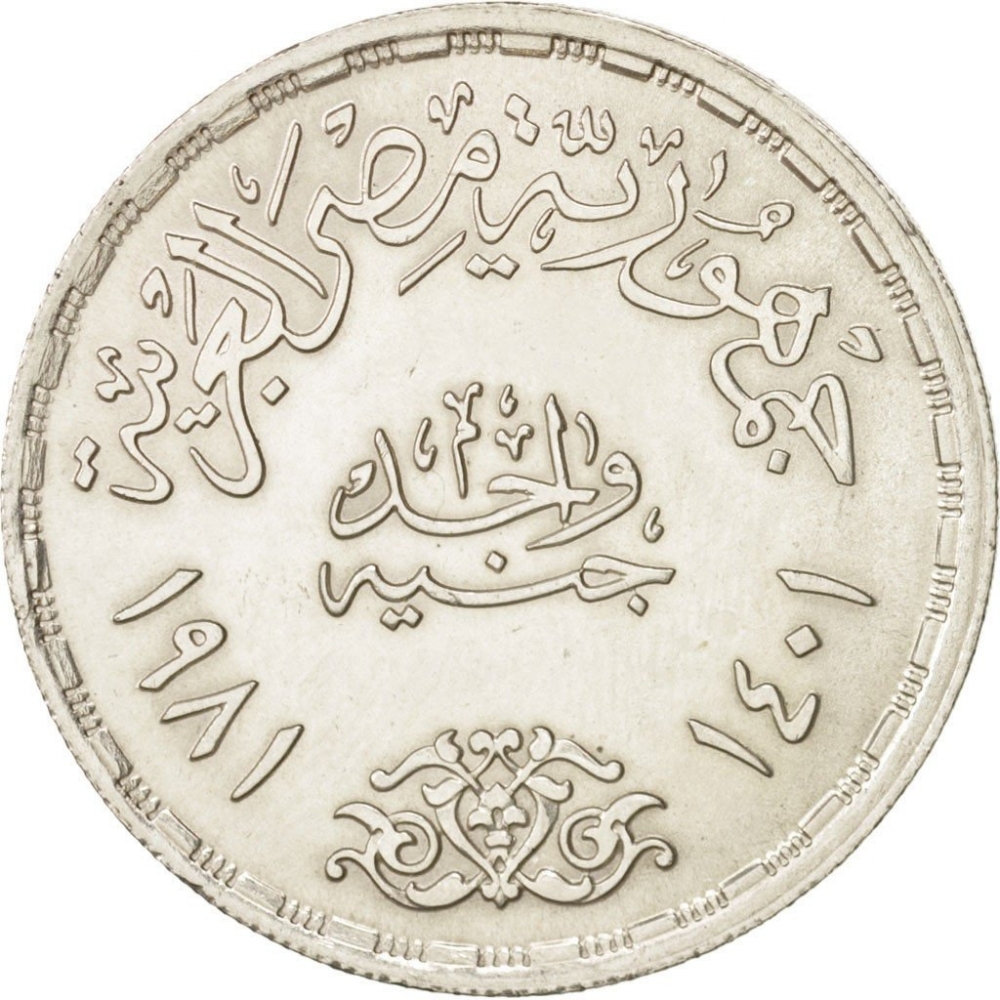 1 Pound 1981, KM# 532, Egypt, Food and Agriculture Organization (FAO), Work and Food for All