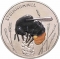 5 Euro 2024, KM# 444, Germany, Federal Republic, Wonderful World of Insects, Bumblebee