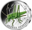 5 Euro 2024, Germany, Federal Republic, Wonderful World of Insects, Green Bush-cricket