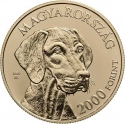 2000 Forint 2019, Adamo# EM387, Hungary, Hungarian Shepherd and Hunting Dog Breeds, Hungarian Vizsla
