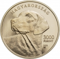 3000 Forint 2021, Hungary, Hungarian Shepherd and Hunting Dog Breeds, Transylvanian Hound