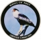 10 Kwacha 2010, KM# 197.11, Malawi, Birds of Prey, Crested Caracara