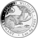 100 Shillings 2022, Somalia, African Wildlife, Elephant