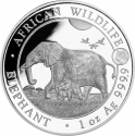100 Shillings 2022, KM# 386, Somalia, African Wildlife, Elephant