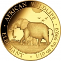 100 Shillings 2022, Somalia, African Wildlife, Elephant