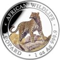 100 Shillings 2022, Somalia, African Wildlife, Leopard
