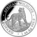 100 Shillings 2022, KM# 391, Somalia, African Wildlife, Leopard