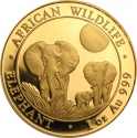 1000 Shillings 2014, Somalia, African Wildlife, Elephant