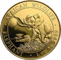 1000 Shillings 2016, KM# 263, Somalia, African Wildlife, Elephant
