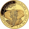 1000 Shillings 2021, Somalia, African Wildlife, Elephant