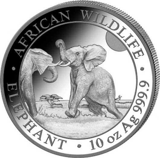 1000 Shillings 2024, Somalia, African Wildlife, Elephant