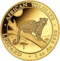 1000 Shillings 2021, Somalia, African Wildlife, Leopard