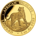 1000 Shillings 2022, Somalia, African Wildlife, Leopard