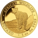 1000 Shillings 2018, Somalia, African Wildlife, Leopard