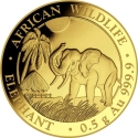 20 Shillings 2017, KM# 266, Somalia, African Wildlife, Elephant