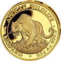 20 Shillings 2023, Somalia, African Wildlife, Leopard