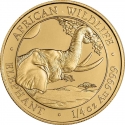 200 Shillings 2023, Somalia, African Wildlife, Elephant