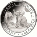 200 Shillings 2024, Somalia, African Wildlife, Elephant