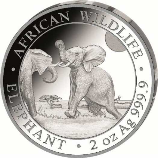 200 Shillings 2024, Somalia, African Wildlife, Elephant