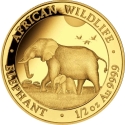 500 Shillings 2022, Somalia, African Wildlife, Elephant