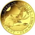 500 Shillings 2023, Somalia, African Wildlife, Elephant