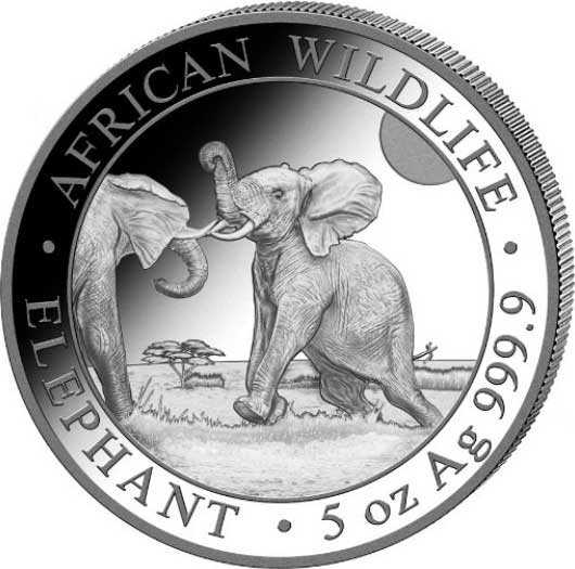 500 Shillings 2024, Somalia, African Wildlife, Elephant