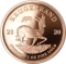 1 Krugerrand 1967-2024, KM# 73, South Africa, 2020: Big 5 Rhino