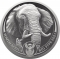 20 Rand 2021, South Africa, Big Five, Elephant II