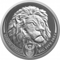20 Rand 2022, South Africa, Big Five, Lion II