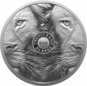 20 Rand 2022, South Africa, Big Five, Lion II