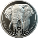 20 Rand 2019-2020, South Africa, Big Five, Elephant