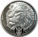 20 Rand 2019, South Africa, Big Five, Lion