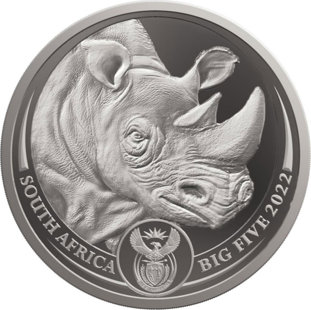 20 Rand 2022, South Africa, Big Five, Rhinoceros II