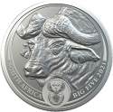 5 Rand 2021, South Africa, Big Five, African Buffalo