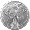 5 Rand 2019, South Africa, Big Five, Elephant