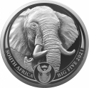 5 Rand 2021, South Africa, Big Five, Elephant II