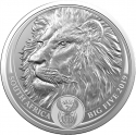 5 Rand 2019, South Africa, Big Five, Lion