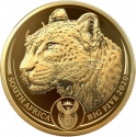 50 Rand 2020, South Africa, Big Five, Leopard