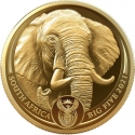 50 Rand 2021, South Africa, Big Five, Elephant II