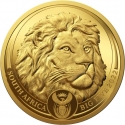 50 Rand 2022, South Africa, Big Five, Lion II