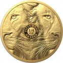 50 Rand 2022, South Africa, Big Five, Lion II