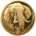 50 Rand 2021, South Africa, Big Five, Elephant II