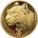 50 Rand 2020, South Africa, Big Five, Leopard